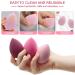 6+6 Professional Makeup Sponge Set - Multicolor Blending Sponges for Loose Powder & Liquid - Portable Soft Face Puffs for Flawless Makeup Application - Buy Online on GoSupps.com