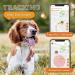 Weeneect XS Mini GPS Tracker for Dogs - Real-Time Tracking Waterproof & Subscription | Smallest Model 2023 - Buy Online on GoSupps.com