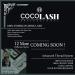 Cocohoney 3D Faux False Mink Eyelashes (5 pairs) - Office Look | Handmade, Cruelty-Free, Reusable | Ultralight & Durable - 3D009 - Buy Online on GoSupps.com