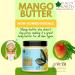Deodorised Indian Mango Butter 100GM - Natural Moisturizer for Face Skin Hair & DIY Projects | Buy Online Internationally - Buy Online on GoSupps.com