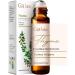 Gya Labs Thyme Essential Oil Roll-On (10ml) - Fresh Earthy & Herbaceous Scent Thyme (Roll On) 10 ml (Pack of 1)