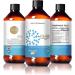 ASB Life Products Fixation Syrup Anti-Alcohol Cravings Management Alcohol Support Kudzu Milk Thistle L-lysine Olive Leaf Pancreatin - Buy Online on GoSupps.com