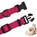 Audwud Thick Nylon Adjustable Dog Collar - Classic Style Multiple Colors Fits Small to Large Dogs Size S: 29-41 cm - Very Berry - Buy Online on GoSupps.com