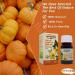 Imtenan Virgin Pumpkin Seed Oil Natural Pure Oils Cold Pressed Premium Egypt Fresh Egyptian Original Cooking Hair Skin No Gmo Kosher Halal (1 Pack 1.01 oz / 30 ml)  - Buy Online on GoSupps.com
