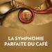 LAVAZZA - Caf Moulu Qualit Oro 5Kg - Caf italien - 100% Arabica - quilibr & Aromatique - Intensit 5-20x250 g - Buy Online on GoSupps.com