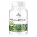 Alfalfa tablets - Alfalfa extract 4: 1 (Medicago sativa) - 90 tablets |Herbadirekt by Warnke Vital substances - German pharmacy quality