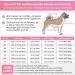 Ranypet One-Divider Dog Pajamas - Surgical Recovery Suit for Large Medium Dogs | Anti-Lick Wound Protection | 2XL Pink - Buy Online on GoSupps.com
