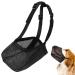 Muzzle for dogs Anti-poison bait muzzle for dogs Soft adjustable mesh muzzle muzzle soft muzzle for small medium-sized and large dogs adjustable food protection dog and chew (m)