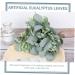 Zerodeko 12pcs Simulated Eucalyptus Leaves Party Decors Real Touch Green Leaf Home Decor Home Plant Decors Vase Floral Arrangement Greenery Decor Faux Plastic Fake Plant Wedding - Buy Online on GoSupps.com
