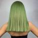 Pretfy Green Wig for Women 16 Natural Middle Length Straight Wig with Hair Bangs - Grass Green Wig for Cosplay & Halloween - Heat Resistant Synthetic Hair - Short-2 (Green) - Buy Online on GoSupps.com