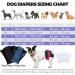 LEKING 2 SPACK Mesh Heat Pants for Dogs - Washable & Comfortable for Your Pet - Buy Online on GoSupps.com