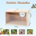 GINDOOR Parakeet Nesting Box - Natural Wood Breeding House for Small Birds - Buy Online on GoSupps.com