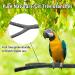 Kathson 6 PCS Parrot Perch Toy Set - Natural Wood Bird Cage Accessories for Parakeet, Budgies, Lovebirds - Buy Online on GoSupps.com