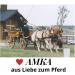 AMKA Driving Bridle for Shetty - Harness Head Frame with Blinkers & Chain Browband | International Shipping - Buy Online on GoSupps.com
