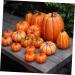 Warmhm 8pcs Halloween Decor Home Decor Autumn Decor Artificial Pumpkins Decor Photo Props Fall Photo Shoot Props Simulation Pumpkin Decor Scene Layout Adorn Ornaments Foam Cupboard - Buy Online on GoSupps.com