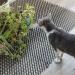 1Pc Cat Scat Mat Stop Cats from Digging with Anti Cats Net Prickle Strip for Home Repellent 13x49CM (Black) - Buy Online on GoSupps.com