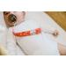 Binky Clip 3 Pack Set - Elmo by Copper Pearl - Buy Online on GoSupps.com