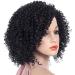 Black Fluffy Curly Wig for Black Women - Heat-Resistant Synthetic Full Wig for Cosplay & Daily Wear - Buy Online on GoSupps.com