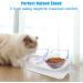 UPSKY Elevated Cat Bowls Set - 15 Tilted Raised Bowls for Indoor Cats and Small Dogs - Anti-Vomiting Pet Feeder with Stand (White) - Buy Online on GoSupps.com