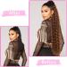 30 inch Long Curly Synthetic Drawstring Ponytail Extension in T2/30# for Women - Buy Online on GoSupps.com
