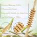 Jitnetiy Wooden Massage Roller Handheld - 9 Ball Cellulite Sore Trigger Points | White - Buy Online on GoSupps.com