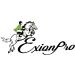 ExionPro Brown Bridle with Buckle Closure (16mm) & Matching Stitching | Replacement Cheek Piece - Full Size Horse Tack - Buy Online on GoSupps.com