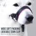 Goodboy Dog Halter with Seat Belt Anti-Pull Padded Harness for Small Medium & Large Dogs Size 4 Pink Includes Training Instructions & Durable Black Nylon - Buy Online on GoSupps.com