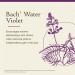 Bach Original Flower Remedies, Water Violet (Non-Alcohol Formula) - Connect with Others - Natural Homeopathic Flower Essence for Emotional Balance - Vegan, Gluten Free, Sugar Free - 10mL Dropper - Buy Online on GoSupps.com