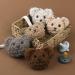 Plush Bear Pacifier Chain Clip - Soft Infant Accessory & Baby Party Gift - Buy Online on GoSupps.com