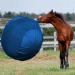 SWYIVY 40 Inch Horse Ball Cover Toy Mega Herding Ball Cover for Giant Horse Soccer 40 Inch 40 Green Cover - Buy Online on GoSupps.com
