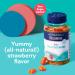 Biostime Kids Multivitamin Gummies with Probiotics | 11 Essential Vitamins & Minerals + Prebiotic Fiber | Zinc & Lutein Enriched | 1.5B CFU | 60 Count - Buy Online on GoSupps.com
