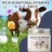 FATAZEN Grass Feed Handmade Whipped Beef Tallow Cream for Skin Anti-Aging Skincare Face & Body Cream with Retinol & Niacinamide Non Greasy hyaluronic acid Moisturizer for All Skin Type 3.53 oz. - Buy Online on GoSupps.com