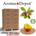 100% Pure Yellow Grade A Raw African Shea Butter 16 oz - Natural Unrefined Moisturizer for Skin, Hair, and Face - Buy Online on GoSupps.com
