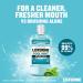 Buy Listerine Antiseptic Mouthwash Zero Mild Mint 500ml - Fresh Breath & Oral Care | International Shipping Available - Buy Online on GoSupps.com