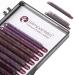 Ombr Lashes Color Violet - Silk Eyelashes C Curl - Thickness 0.07mm in Mix 8-14mm - Volume Lashes - Eyelash Extension - 16 Strips