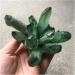 1 pcs Beautiful Green Ghost Phantom Quartz Crystal Cluster Rock Stones Crystals Reiki Specimen Minerals Reiki Decoration Full of Texture 400-500g - Buy Online on GoSupps.com
