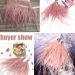 YEQIN 2 Yards Natural Ostrich Feather Fringe Trims - Dress Sewing, Craft, Clothing, Wedding Decor - Mistyrose - Buy Online on GoSupps.com