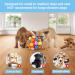 TWOPER Snuffle Ball for Dogs - Dog Toy Sniffle Interactive Treat Ball and Slow Feeder for Small Medium and Large Breed Dogs - Snuffle Mat for Dogs for Anxiety Relief and Boredom Busters - Buy Online on GoSupps.com