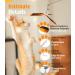 Pawaboo Interactive Cat Toys - 35 Catangel Stable with 2 Springs & Flexible Steel Wire Handle - Magic Wand for Kittens & Cats - Orange - Buy Online on GoSupps.com