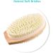 Long Wooden Handle Back Brush - Dual Bristles Body Shower Brush for Exfoliation & Skin Peeling | Wet/Dry Use - Buy Online on GoSupps.com