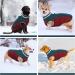 Kuoser Windproof Dog Coat - Reflective Winter Jacket for Small & Large Dogs - Warm & Zippered XL - Blue - Buy Online on GoSupps.com