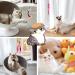 Nobleza Cat Feather Toys - Interactive Cat Toy with Retractable Wands and Bell - 12 PCS Refills Included - Buy Online on GoSupps.com