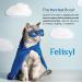 Felisyl L-Lysine Concentrate for Cats 2 oz Immune & Respiratory Support Supplement with DMG & Taurine Helps Relieve Sneezing Runny Nose Congestion Watery Eyes FHV-1 Symptoms Made in USA - Buy Online on GoSupps.com