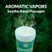 Vapanol Descongestionante Nasal Chest Rub Ointment - 2.5 oz - Relief for Cough, Muscle Pain - Buy Online on GoSupps.com