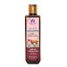 Blessfull Healing Organic Onion Argan Hair Cleanser | Shampoo 200 ML (Packing May Vary) 200 ml (Pack of 1)