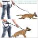 Vivaglory Reflective Waist Dog Leash | Free-Handed Bungee Leash for Medium & Large Dogs | Double Padded Handles | Perfect for Jogging & Training | Adjustable Waist 65-112cm - Black/Turquoise - Buy Online on GoSupps.com