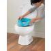 Fisher-Price Potty Training Seat with Lights, Sounds & Phrases - Toddler Toilet with Removable Seat - Learn-to-Flush Potty (Frustration-Free Packaging) - Buy Online on GoSupps.com