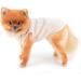 SMALLLEE_LUCKY_STORE Cute Bear Waffle Knit Tank Top Puppy T-shirt for Small Dogs Cats Boy Girl Stretchy Tee Shirt Vest Yorkie Chihuahua Pet Summer Clothes Cream S S cream - Buy Online on GoSupps.com