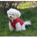 Warm Fleece Lined Dog Jacket - Windproof & Soft Winter Vest for XS Dogs (Red) - Joydaog - Buy Online on GoSupps.com