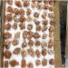Stone Crafts Natural Beautiful Flowery Orange Aragonite Crystal Cluster Specimen Reiki Crystals - Buy Online on GoSupps.com